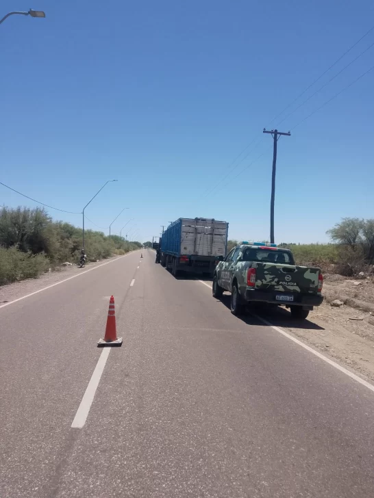 WhatsApp-Image-2024-11-23-at-2.30.34-PM-1-546x728