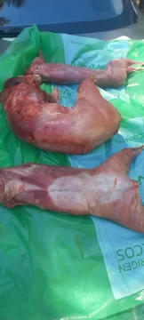 WhatsApp-Image-2024-11-23-at-2.30.34-PM-328x728