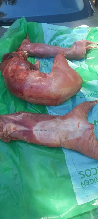 WhatsApp-Image-2024-11-23-at-2.30.34-PM-328x728