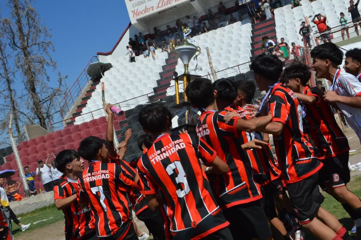 WhatsApp-Image-2024-11-25-at-15.03.18-1-728x484