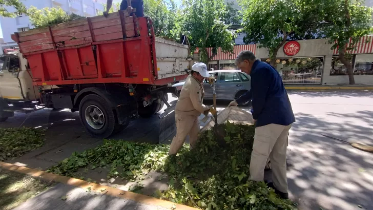 0acc292e-e021-487e-b0c3-93a213d340c5-728x410 0acc292e-e021-487e-b0c3-93a213d340c5-728x410