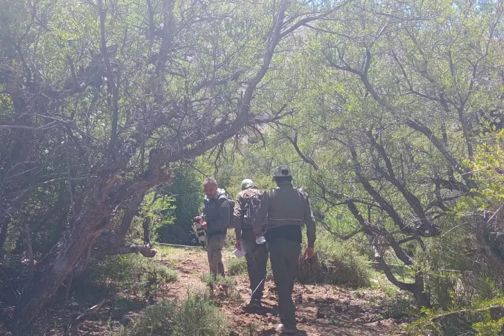 Descubren una joya de la flora autóctona y la cuidan junto a Nación