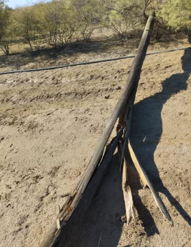 DCC211224-009F07-563x728