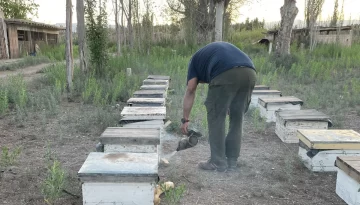 DCC261224-003F02-728x415