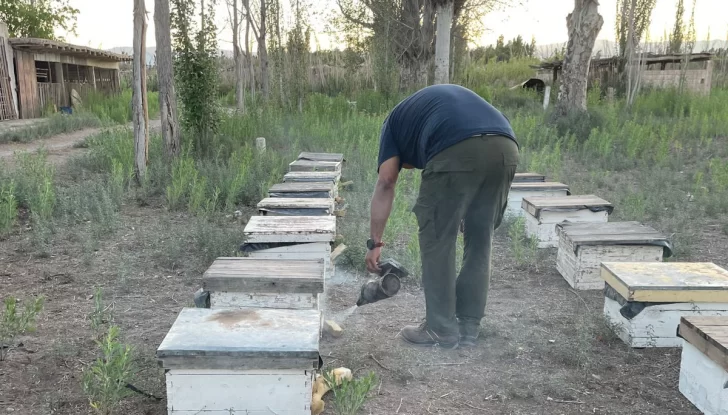 DCC261224-003F02-728x415