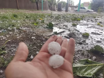 El granizo se ensañó con casi todo el Gran San Juan El granizo se ensañó con casi todo el Gran San Juan