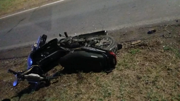 WhatsApp-Image-2024-12-31-at-11.01.34-1-728x410