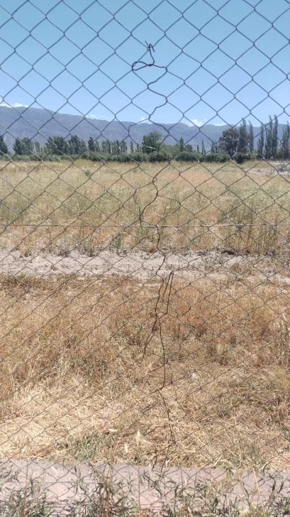 alambrado-roto-409x728