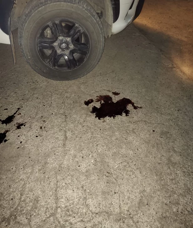 manchas-sangre-617x728