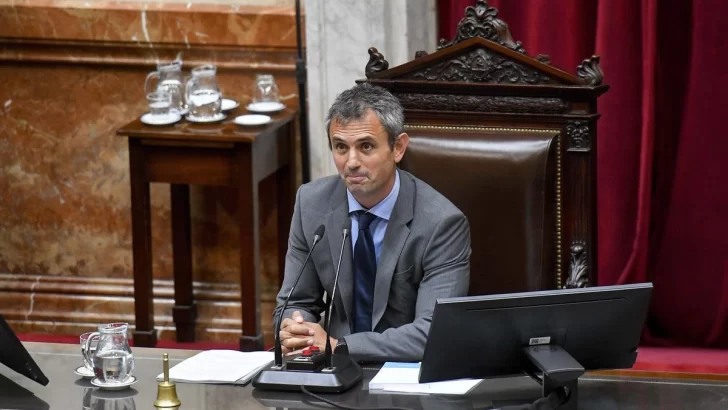 Primera sesión del año: Diputados debatirá este jueves al mediodía la suspensión de las PASO