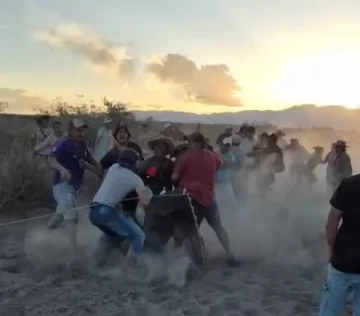 Impactante video de una brutal pelea al finalizar una carrera clandestina de caballos: alcohol, piñas y rebencazos Impactante video de una brutal pelea al finalizar una carrera clandestina de caballos: alcohol, piñas y rebencazos