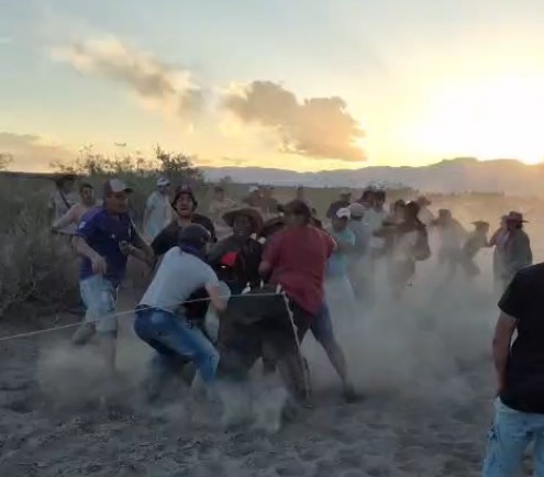 Impactante video de una brutal pelea al finalizar una carrera clandestina de caballos: alcohol, piñas y rebencazos Impactante video de una brutal pelea al finalizar una carrera clandestina de caballos: alcohol, piñas y rebencazos