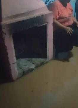 28234cba-6d82-4636-8191-f3e7435e6f59