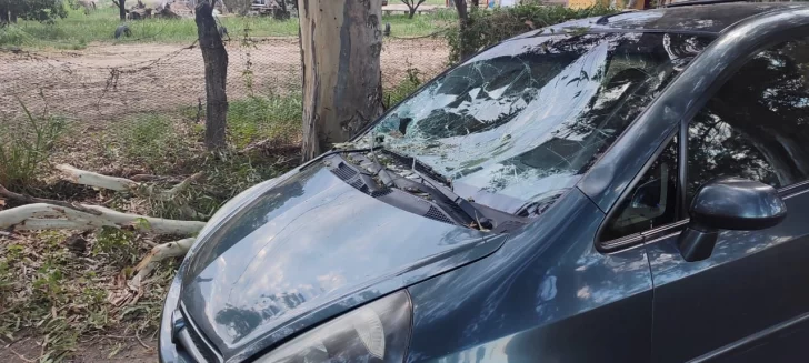 308415eb-519e-444b-90cc-0c9f02e16ab2-728x327