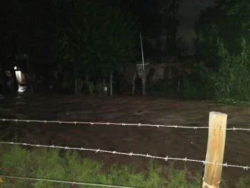 36ce0629-7ea6-4b8a-93a3-be4a7b6e0254-728x546