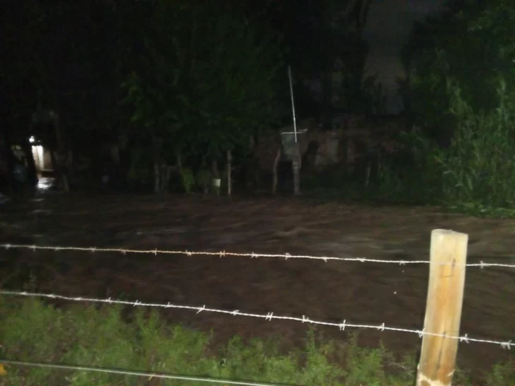 36ce0629-7ea6-4b8a-93a3-be4a7b6e0254-728x546