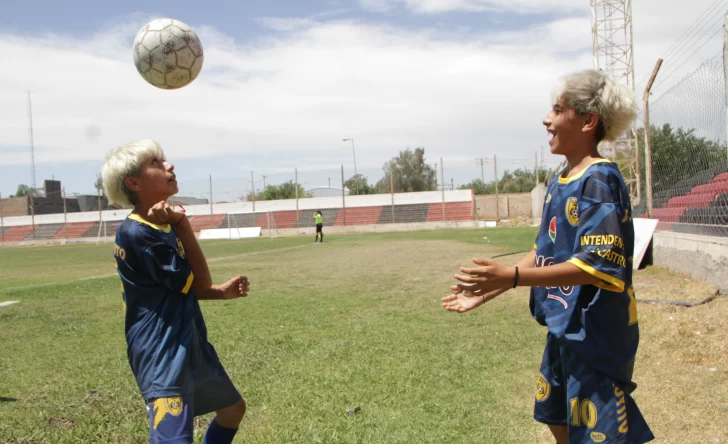 DCC110125-015F02-728x444