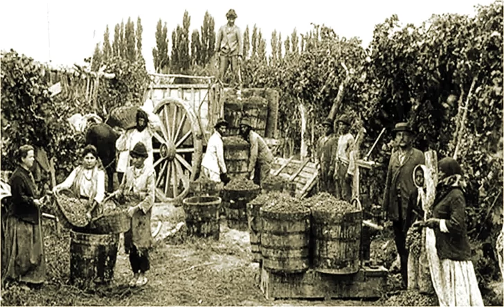 Veranos sanjuaninos de 1800, entre uvas, vinos y arrope