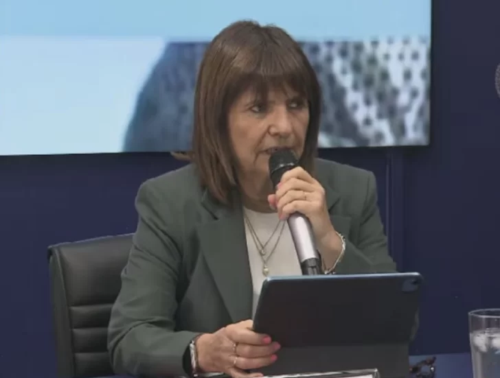 El Gobierno detuvo a una persona vinculada con la organización terrorista Estado Islámico El Gobierno detuvo a una persona vinculada con la organización terrorista Estado Islámico