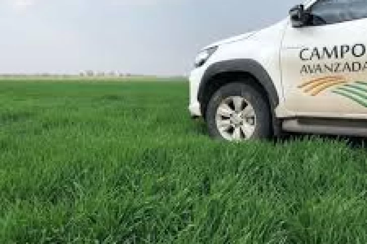 Otra empresa del agro se hunde en el default