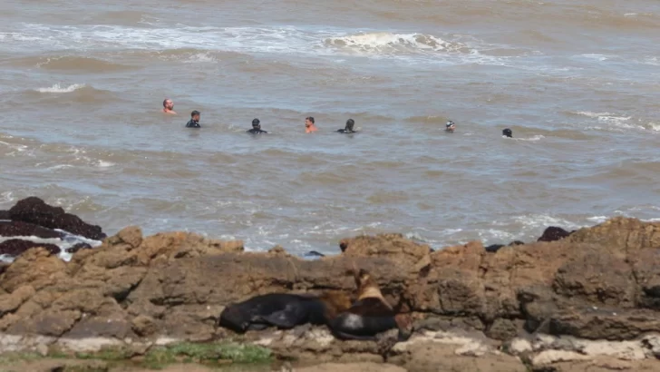 fab02737-07ce-4b57-9b09-d31b9407b0d8-728x410