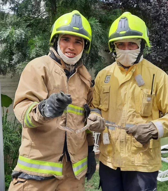 Encontró una serpiente en su casa y llamó a los bomberos Encontró una serpiente en su casa y llamó a los bomberos