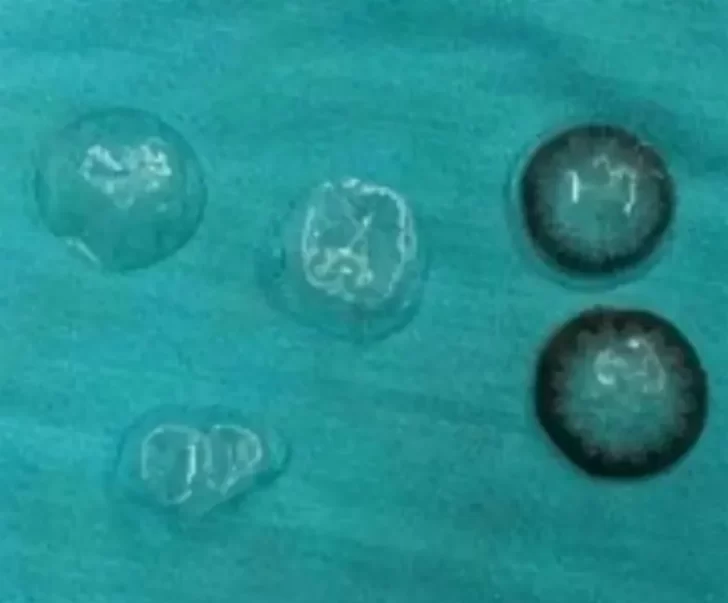 7a9347db-1b6d-43ab-a6fa-e98361497a41-728x603