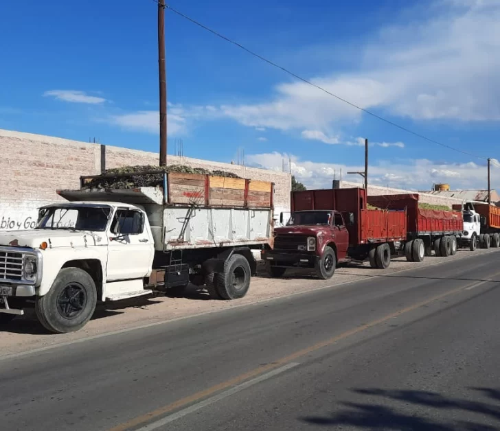 Con la novena baja de tasas, hay más demanda de créditos de Gobierno Con la novena baja de tasas, hay más demanda de créditos de Gobierno