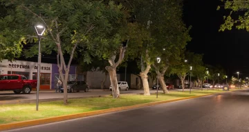 DCC200225-003F08-728x389