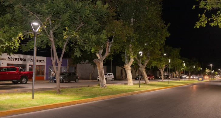 DCC200225-003F08-728x389