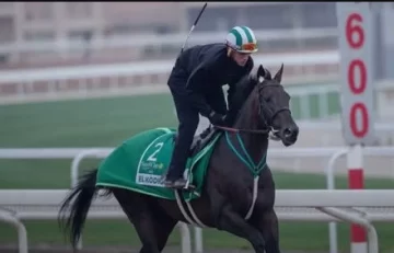 El Kódigo e Intense For Me en la carrera de los 20M