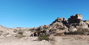 DCC260225-003F07-728x366