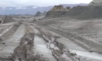 DCC260225-003F08-728x433