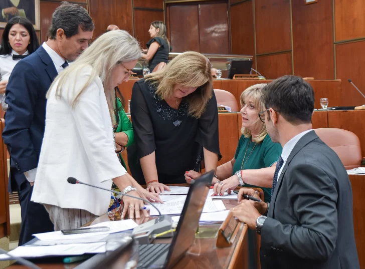 El maltrato animal será castigado en San Juan con multas de hasta 9.000.000 de pesos