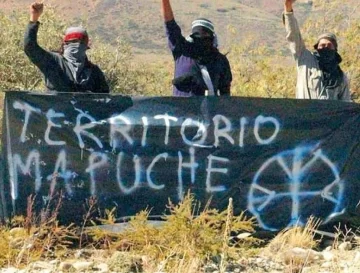 Comunidades mapuches recibieron hasta 1.200 millones en subsidios