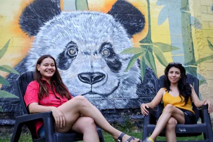 El puntapié será el ciclo Bambú