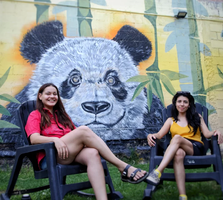 El puntapié será el ciclo Bambú