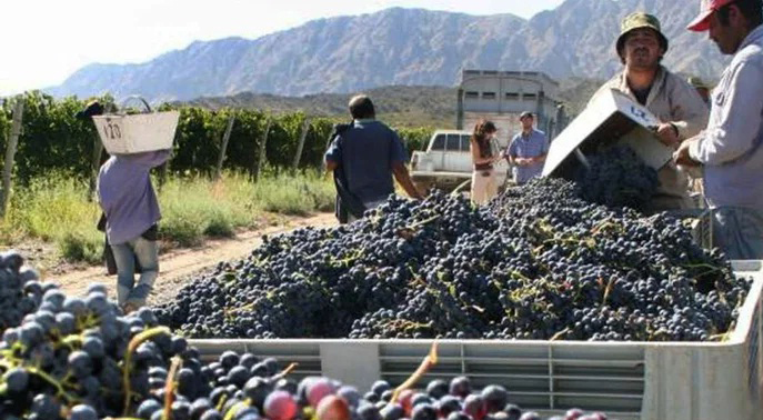 Nuevos créditos del Banco Nación para cosecha y acarreo