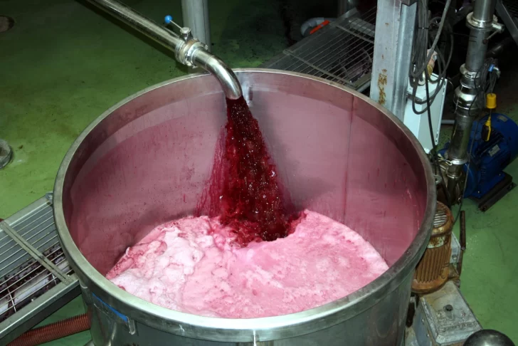 Exportaciones de vino a granel crecieron 13,7% en 2024 impulsadas por el Malbec y los genéricos