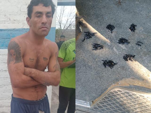 Detuvieron a un sujeto con 72 envoltorios de cocaína Detuvieron a un sujeto con 72 envoltorios de cocaína