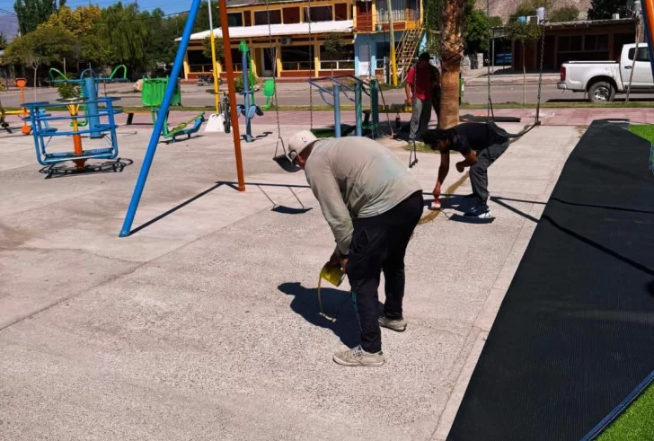 DCC050325-003F07-728x491