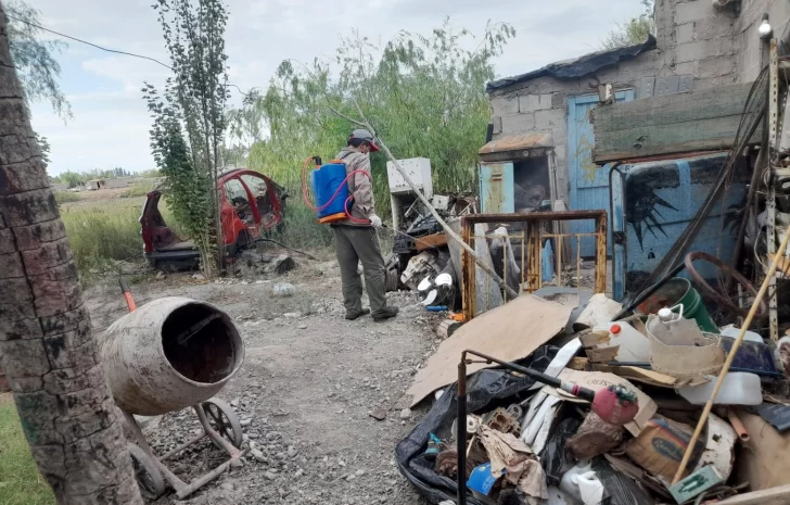 Desinfección de hogares en Sarmiento