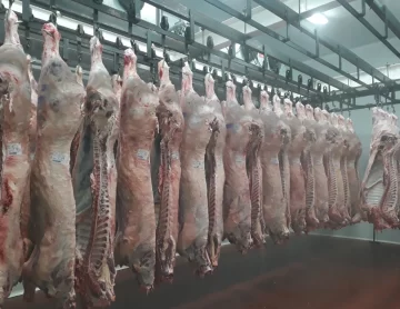 Gobierno lanzará un bono fiscal para bajar impuestos a industrias