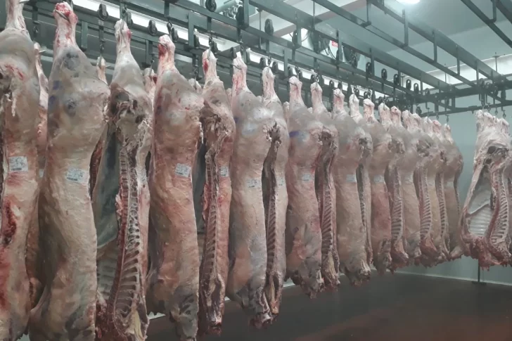 Gobierno lanzará un bono fiscal para bajar impuestos a industrias