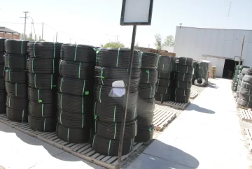 DCC200325-003F02-728x490