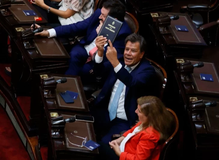 Milei acusó a Manes de “mentiroso” y aseguró que el diputado no fue agredido en el Congreso Milei acusó a Manes de “mentiroso” y aseguró que el diputado no fue agredido en el Congreso