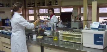 Mayor calidad y competitividad en el mercado del aceite de oliva