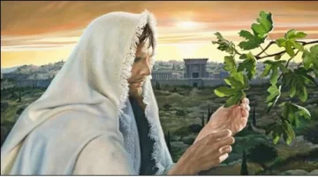 Llamados a dar fruto