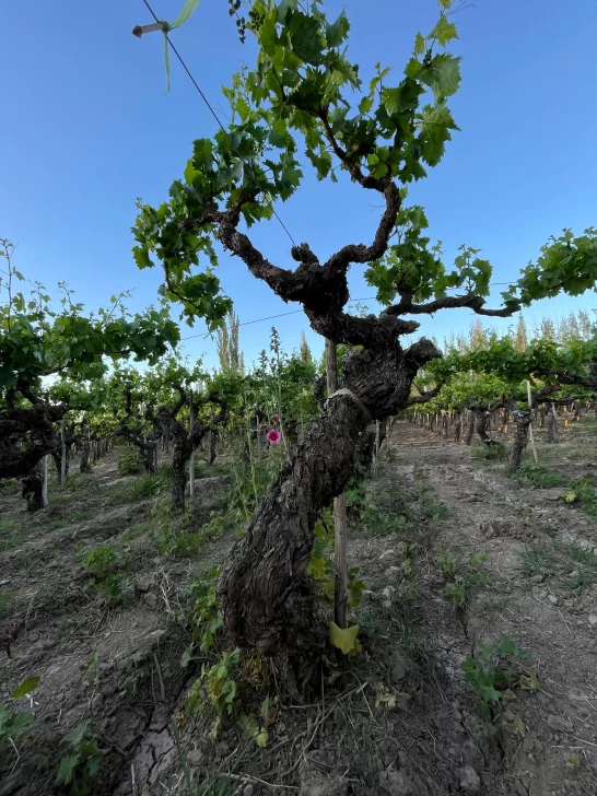 RESERVAHILARIOSECUNDARIA-546x728