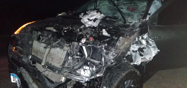 WhatsApp-Image-2025-03-15-at-11.43.27-728x344